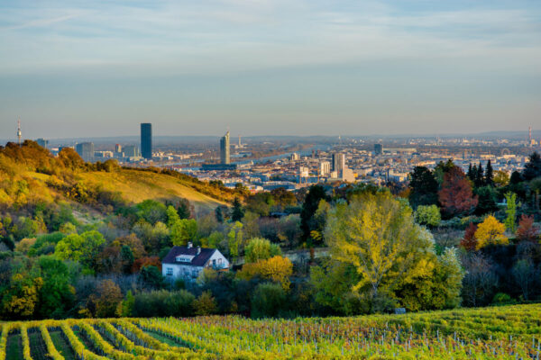 L espérance de vie est elle plus élevée à la ville ou à la campagne