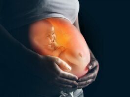 Sensations du foetus intra-utéro ce que ressent bébé dans le ventre