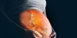 Sensations du foetus intra-utéro ce que ressent bébé dans le ventre
