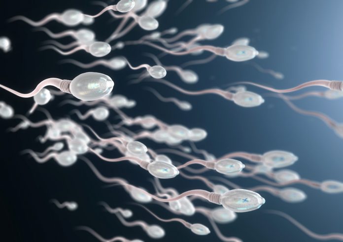 Impact-covid-19-qualité-sperme