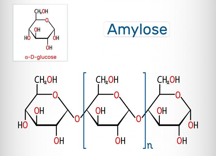 Amylose : echelle