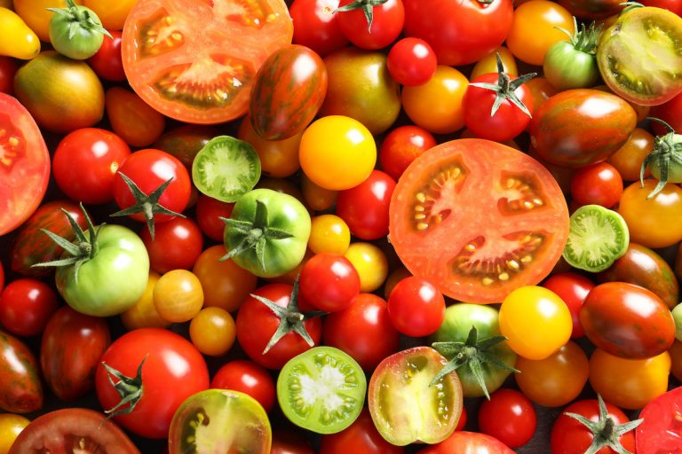 La tomate : un super légume-fruit ?