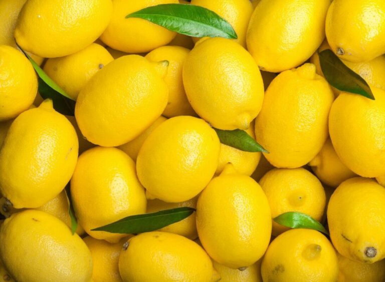 10 vertus insoupçonnées du citron