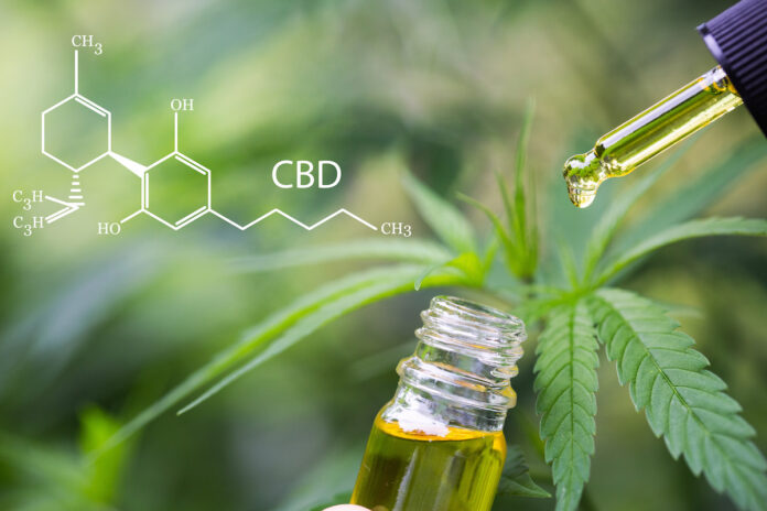 5 choses à savoir sur l’huile de cannabis (CBD)