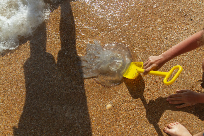 Soulager une piqure de méduse