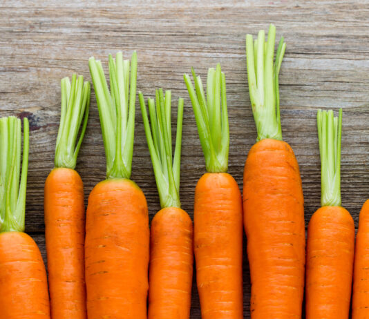 Carottes