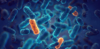 Quelles sont les bactéries les plus meurtrières ?