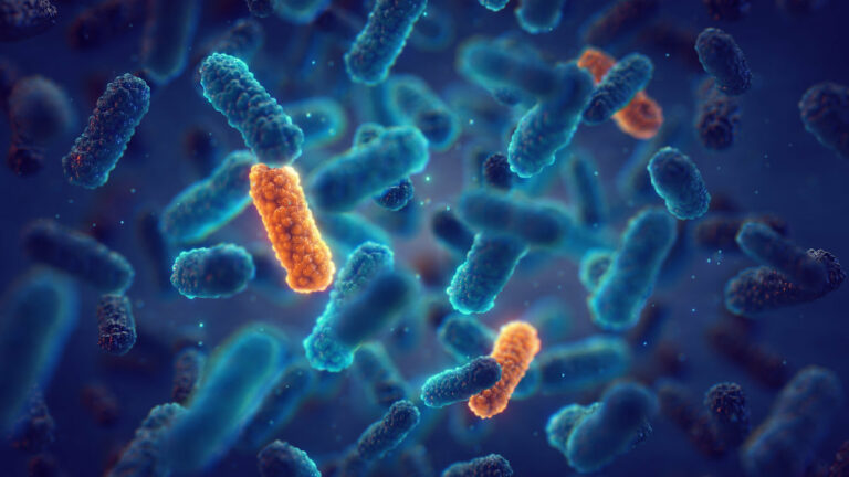 Was sind tödliche Bakterien?