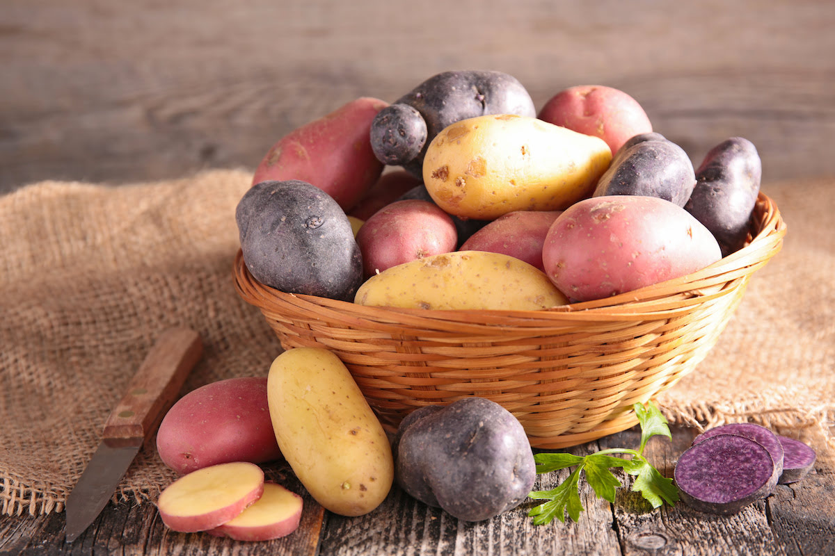 Pommes de terre : tout savoir de ses bienfaits pour la santé