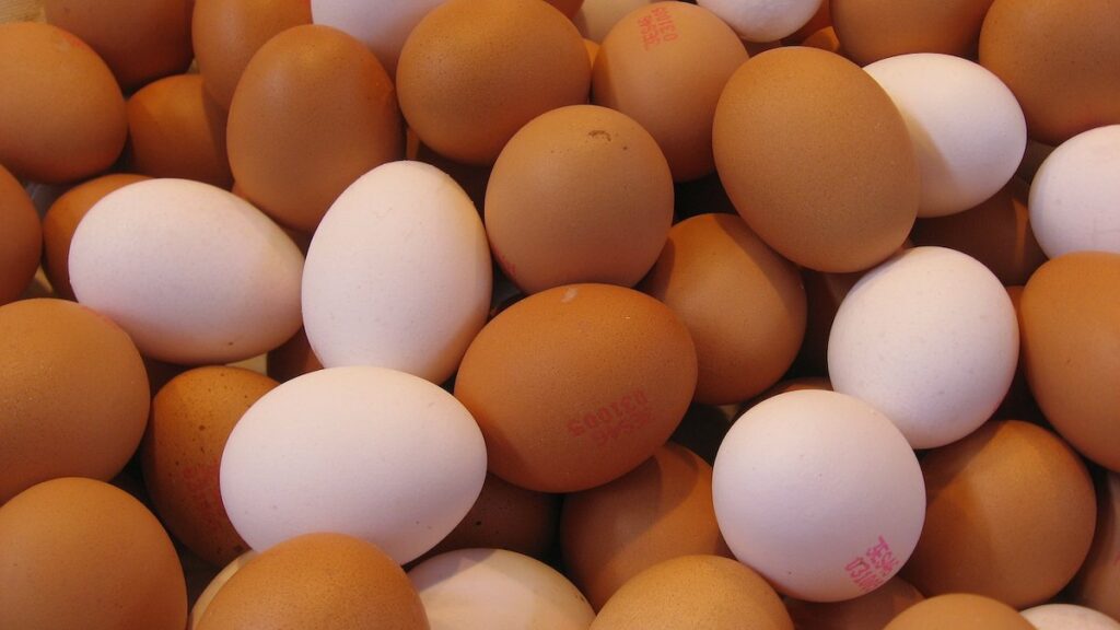 œufs consommation date de limite de péremption