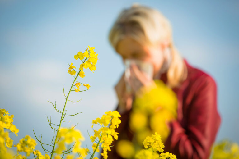 Le pollen de retour : alerte rouge sur toute la France