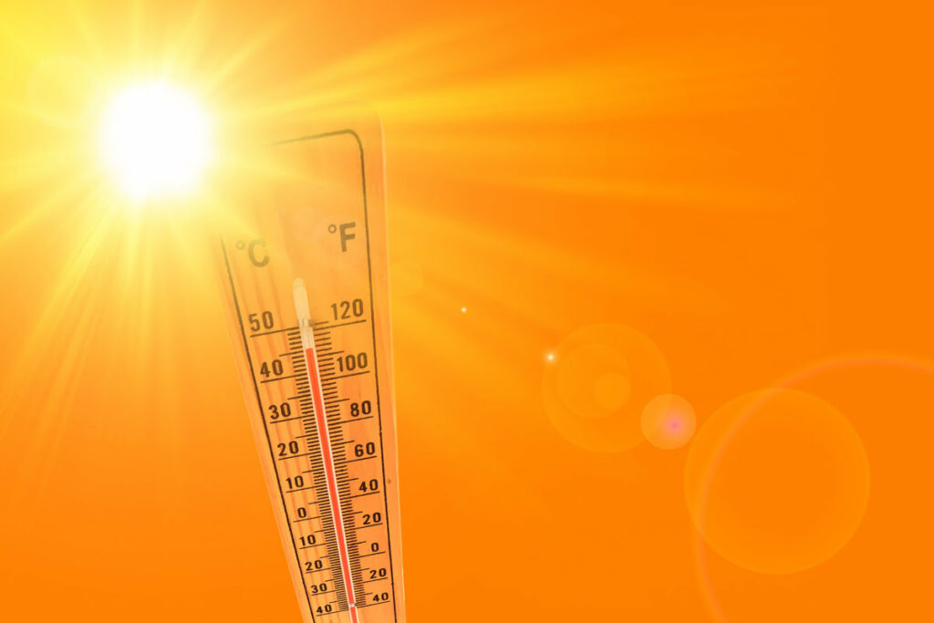Fortes chaleurs : 60.000 décès en 2022 selon les experts