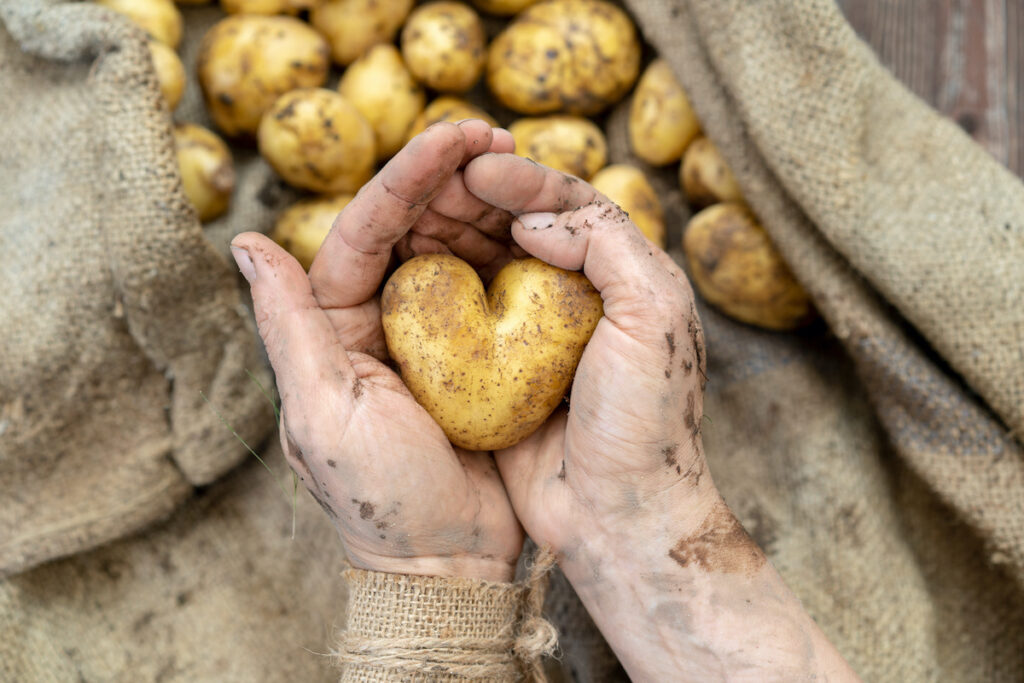 ces légumes à ne pas manger crus