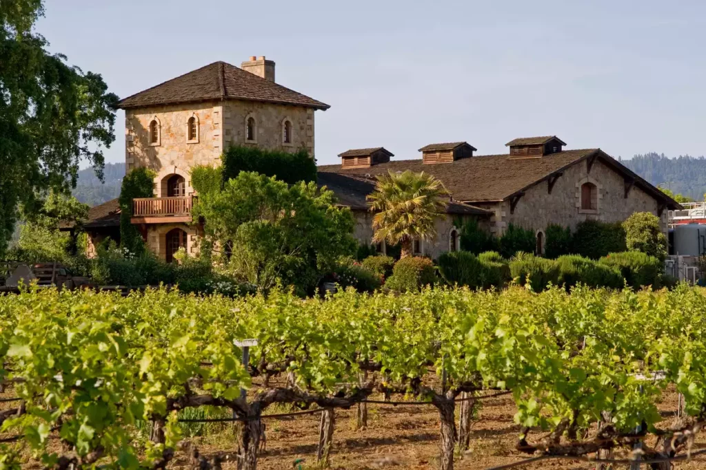 Vivre à côté d’une grande parcelle de vigne n’est pas l’idéal pour la santé