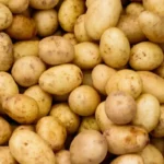 Bienfaits pommes de terre