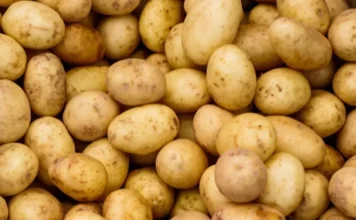Bienfaits pommes de terre