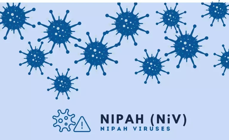 Le virus Nipah pourrait être responsable de la prochaine pandémie