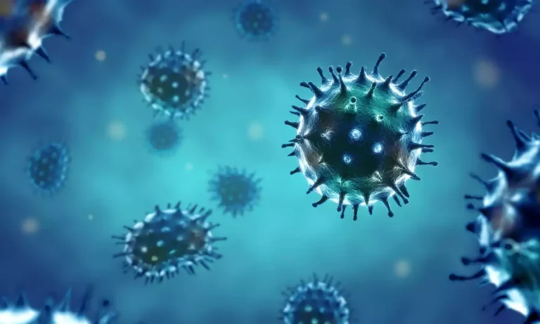Pour la première fois depuis 2020, la grippe a plus tué que le Covid-19