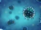 Pour la première fois depuis 2020, la grippe a plus tué que le Covid-19