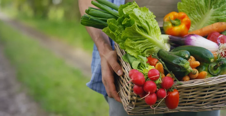 Attention, vous ne devez pas manger ces légumes si vous prenez un anticoagulant