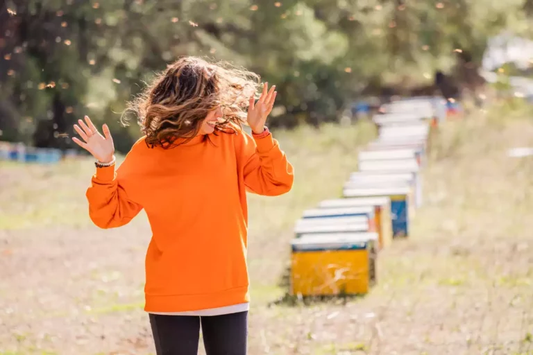 Piqûres de guêpe, d’abeille ou de frelon : ces erreurs que l’on fait tous