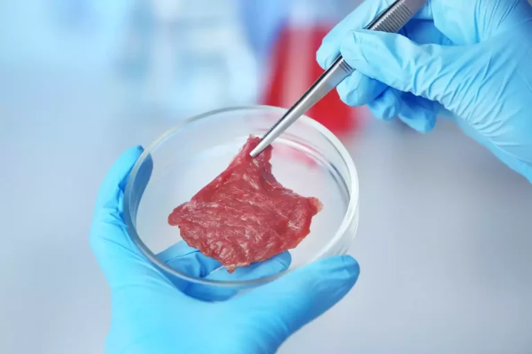 Viande de laboratoire : le Royaume-Uni dit oui