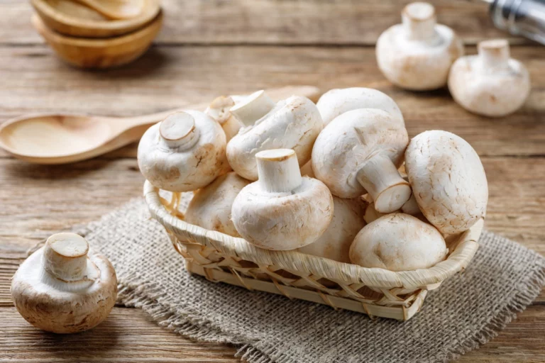 Forte hausse des intoxications graves par des champignons