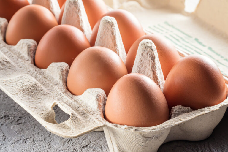 🥚 Manger 3 œufs par jour : une bonne idée pour votre santé ?