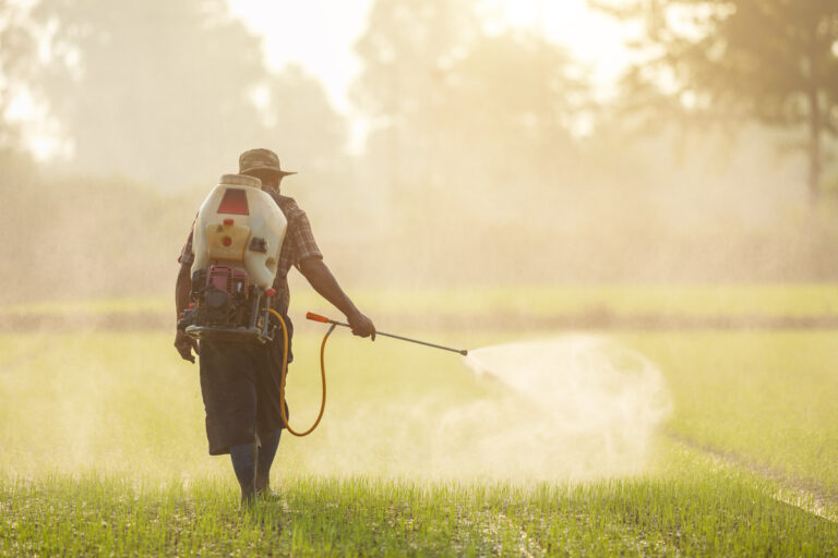 Pesticides : les fruits et légumes d’hiver les plus contaminés selon l’UFC-Que Choisir