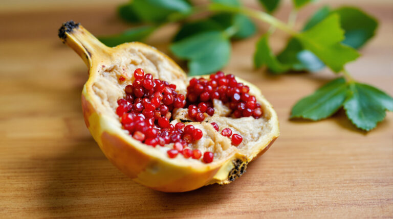Grenade : ce fruit fascine de plus en plus les scientifiques, voici pourquoi grenade_ouverte_naturelle
