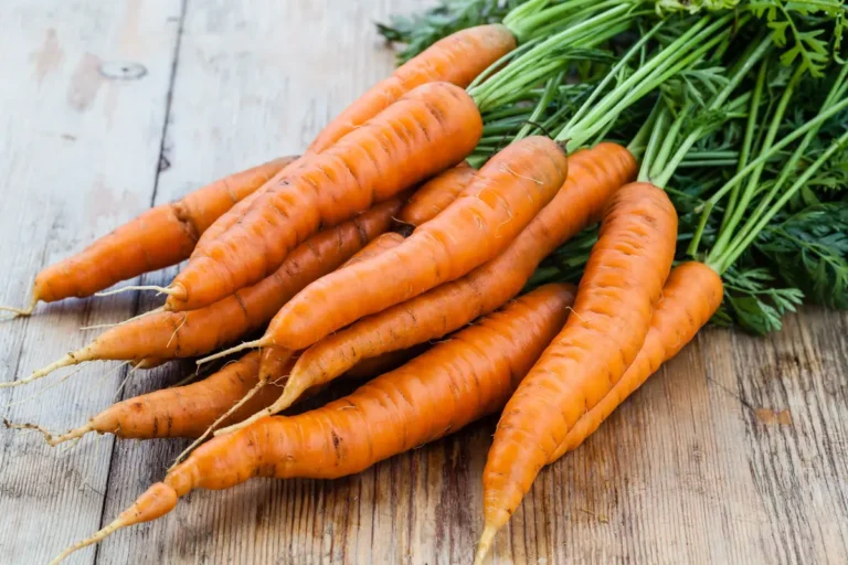 Les carottes am&eacute;liorent la vue