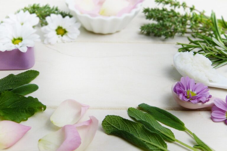 Vivre au rythme de la nature : comment la phytothérapie accompagne votre bien-être plantes phytotherapie