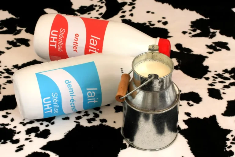 Lait entier ou &eacute;cr&eacute;m&eacute;