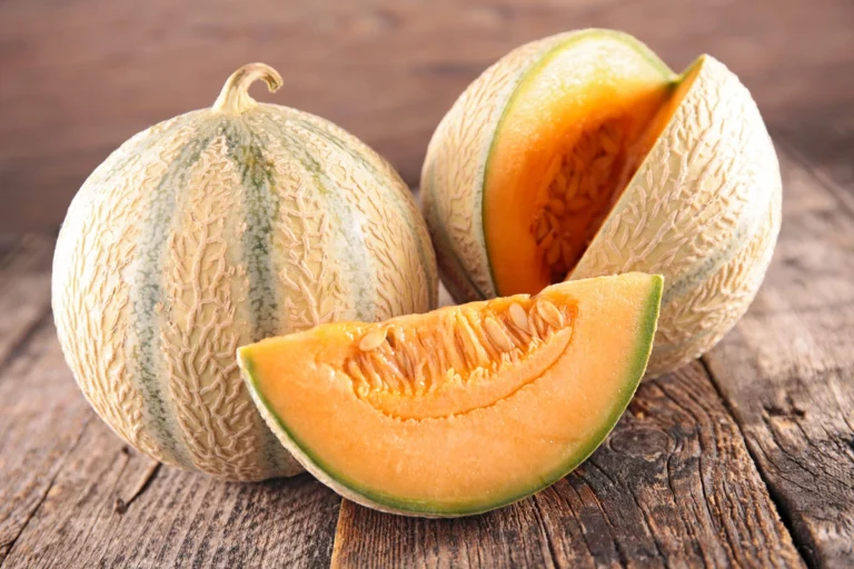 Melon digestion