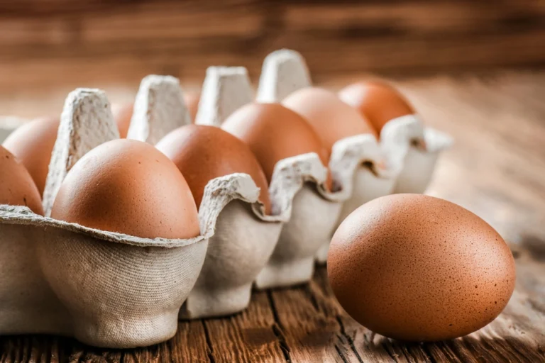 &OElig;ufs contamin&eacute;s salmonellose
