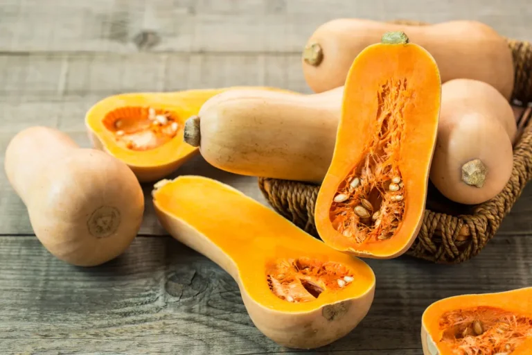 raisons de manger du butternut