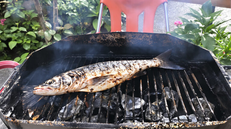 saumon-cuisson-ext&eacute;rieure